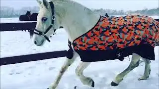 Я свободен