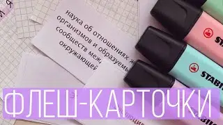 флеш-карточки и всё о них