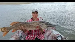 Trophy Fishing on the Ob Part 2