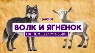 The Wolf and the Lamb / Krylov's Fable / In German / Der Wolf und das Lamm