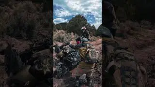 My Harley-Davidson Stuck in the swamps of sadness