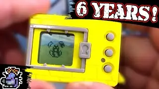6 YEAR CHANNIVERSARY HATCH! 
