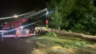 Albero Caduto Castellanza Agosto 2023🚒🧑‍🚒🪚🌲