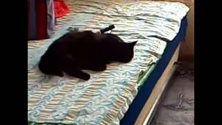 Я в селе !!! ^•^