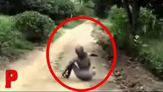 5 Najmisterioznijih Stvorenja Snimljenih na Kameri
