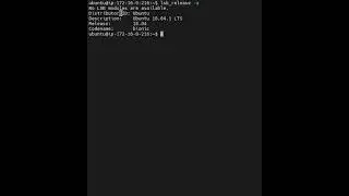 How to get Ubuntu version from terminal?