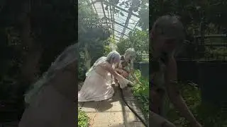 ДВЕ НАХИДЫ 