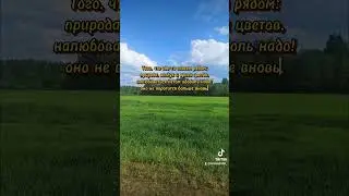 #моистихи