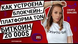 How does the TON blockchain platform work? Bitcoin $20,000