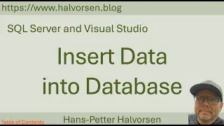 SQL Server and Visual Studio | Part 2 - Insert Data into Database