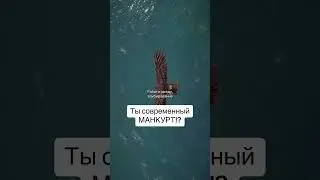 Манкурт кто он?