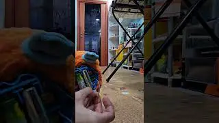 Отдельные песни у фёрби (часть 11 и 12)