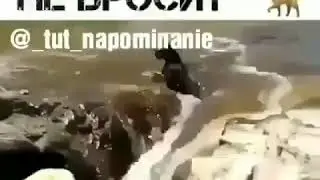 Друг🌙