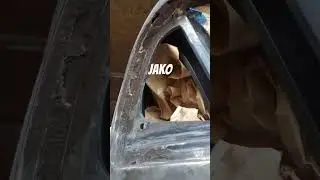 E46 CO DO ZROBIENIA?