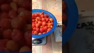 Рецепт клубничного варенья#рецептклубничноговаренья