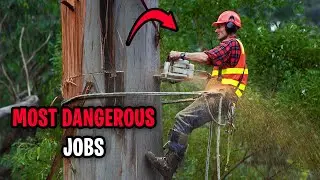 10 Most Dangerous Jobs in the World. Are You Brave Enough to Take One of Them On?
