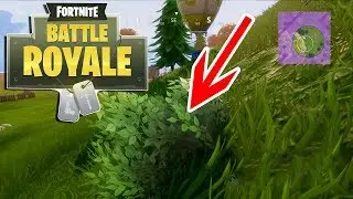 FORTNITE HACKER CAUGHT IN A BUSH
