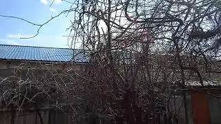 10 апреля 2021 г.
