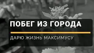 Еду за город - спасаю Максимуса - погода и магазин