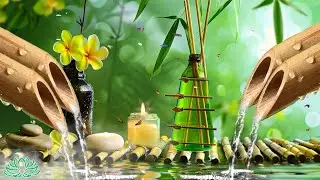 Relaxing Sleep Music + Insomnia: Bamboo, Stress Relief, Deep Sleep, Relax & Therapy Music 🌿 #26
