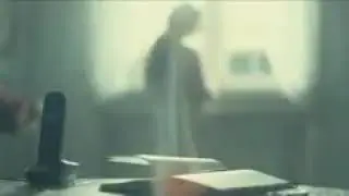 Дилдора Ниезова янгиси