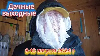 Дачные выходные и ДР 10 августа 2024 г
