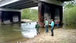 Рыбалка под мостом через реку Нарва