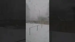 ПУРГА
