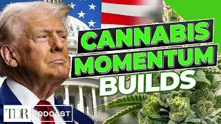 Why Trump’s Cannabis Language Is Getting Stronger | TDR Cannabis in 5