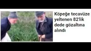 Köpeğe Tecavüze Yeltenen 82'lik Dede, Gözaltına Alındı