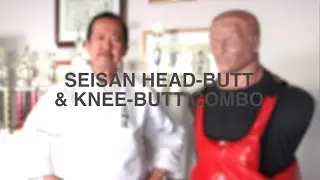 Uechi Ryu- Seisan Head-butt & Knee-butt Combo- Henry Thom