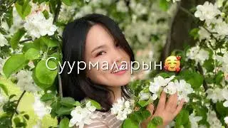 Суурмаларын кавер 2022жыл #бекжантемирхан #клип #текстпесни #топ #тикток #тренды #kyrgyzstan