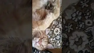 Ты же знаешь мне нельзя пить 