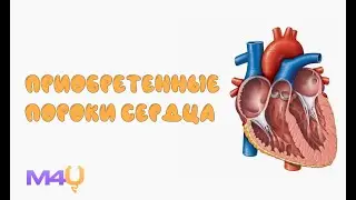 Приобретенные пороки сердца на примере ситуационных задач. Стеноз и недостаточность
