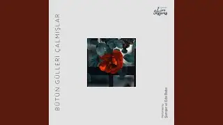 Bütün Gülleri Çalmışlar (Live)