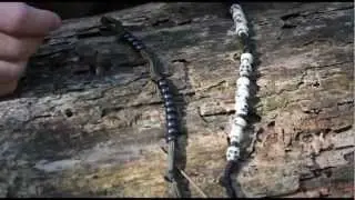 Black Scout Tutorials - Pace Count Beads