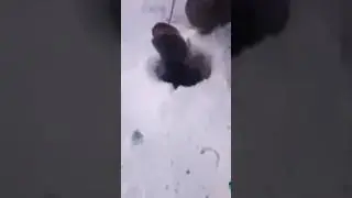 Сногсшибательная рыбалка.😄