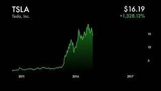 The EPIC Journey of Tesla Stock Animated