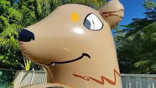 IW Inflatable Bear Inflation & Review