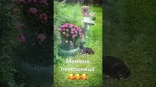 Это просто Боня🤣🤣🤣 #колесникованаталья