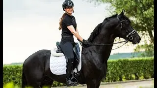 Ik heb een NIEUW PAARD!