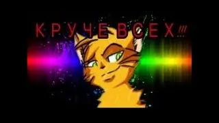 круче всех (коты воители)