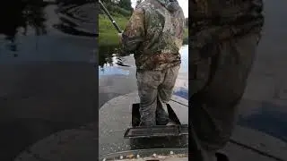 Щука пошла.