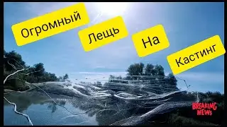 😲ОГРОМНЫЙ ЛЕЩ НА КАСТИНГОВУЮ СЕТЬ😯/К ПРОСМОТРУ ОБЯЗАТЕЛЬНО😬!!!