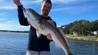 800 Subs Giveaway  2 $50 Winners  Comment To Win!