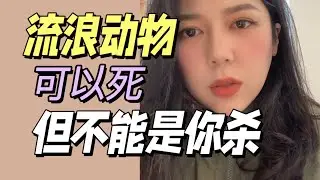 关于捕杀流浪猫狗的争吵，最关键的问题其实被忽略了