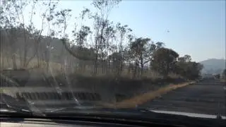 Wild Aussie Animal Compilation