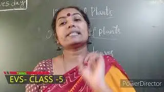 CLASS -5 || EVS ( Environmental Science)|| THE MASTERMINDS SCHOOL- SUCHITRA
