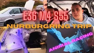 E36 M4 PROJEKT 🔥 Zu besuch bei Animal Racing & letzte Nürburgring Runden I Maximilian Kurz