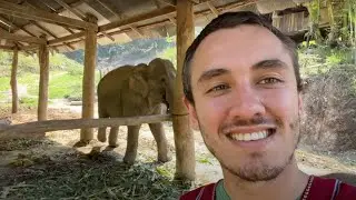 I went to Thailand Travel (Vlog)